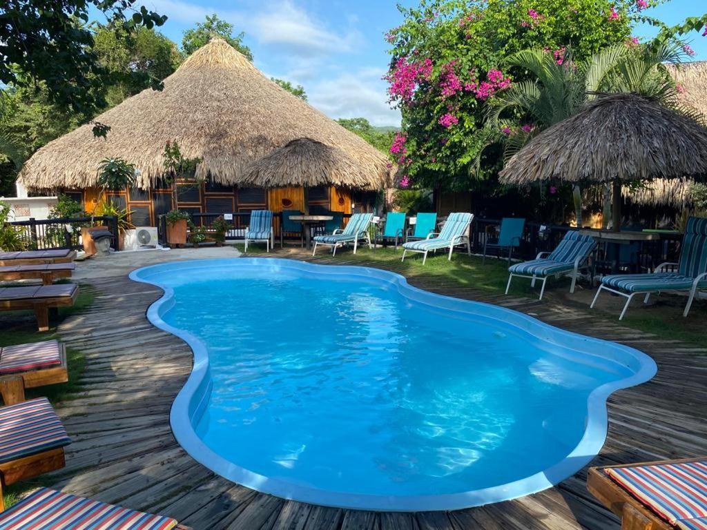 Bikini Hotel & Pool Паломино Экстерьер фото
